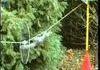 mission impossible squirrel