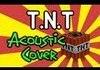 'TNT' - Minecraft Parody-Acoustic Cover