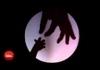 Shadow Puppets On Steroids