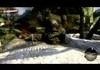 Dead Island real ninja