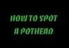 potheads