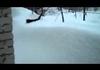 Little Cat vs 4 Feet of Snow