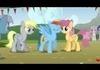 pony swag