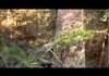 Tree Climbing FAIL