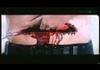 Best fight scene ever