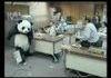 Never say no to a panda. Ever