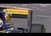 Lucky Bird's Close Escape With A F1 Car