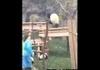 Baby Panda Gets Stuck in a Tree