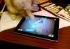 funny cat playing ninja fruit game