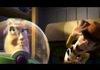 HEY BUZZ