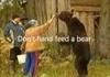 Bear Attack