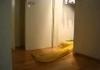 Housepet Opens Door