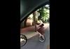 Amazing Cyclist