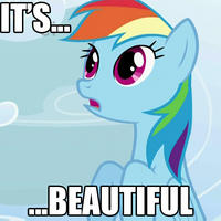Comment Picture Comment Picture