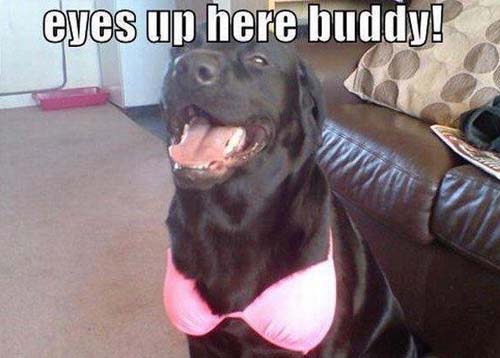 Caught Going Through Sister S Underwear Drawer