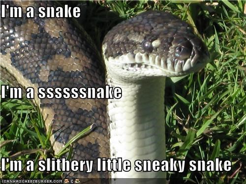 Image result for cobra snake meme