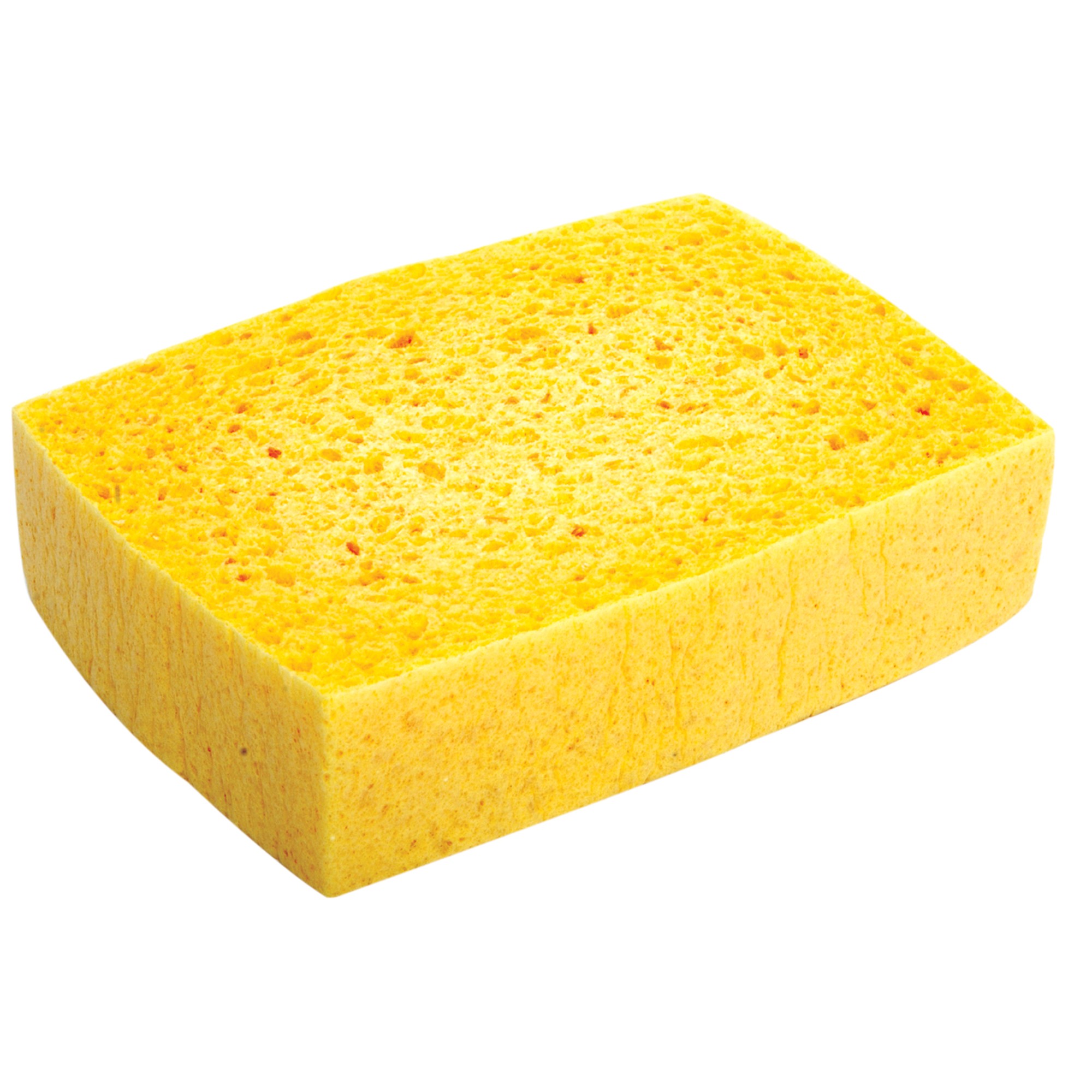 a sponge