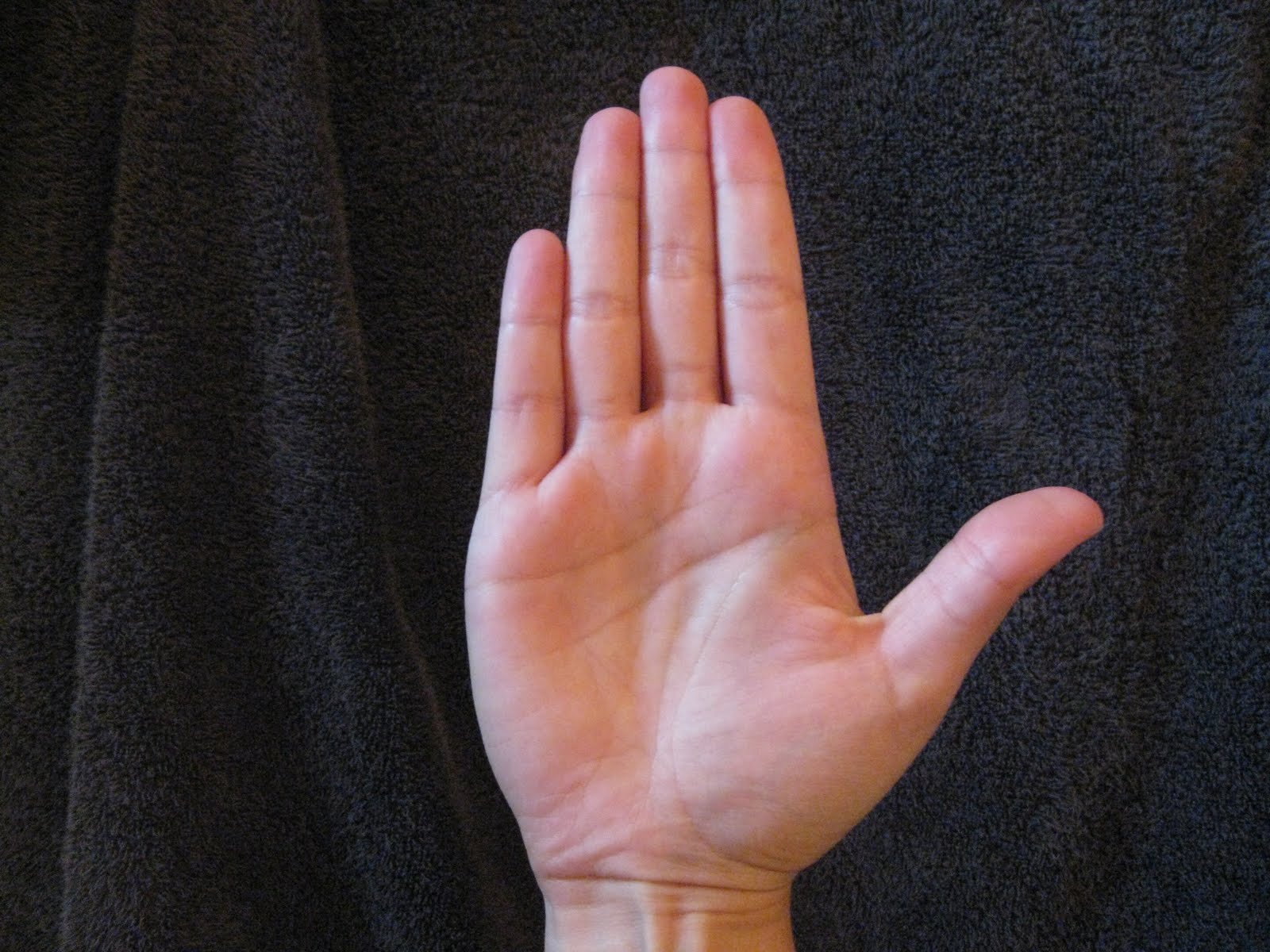 Tmw Stephen Colbert Is Hotter Than You funnyjunk