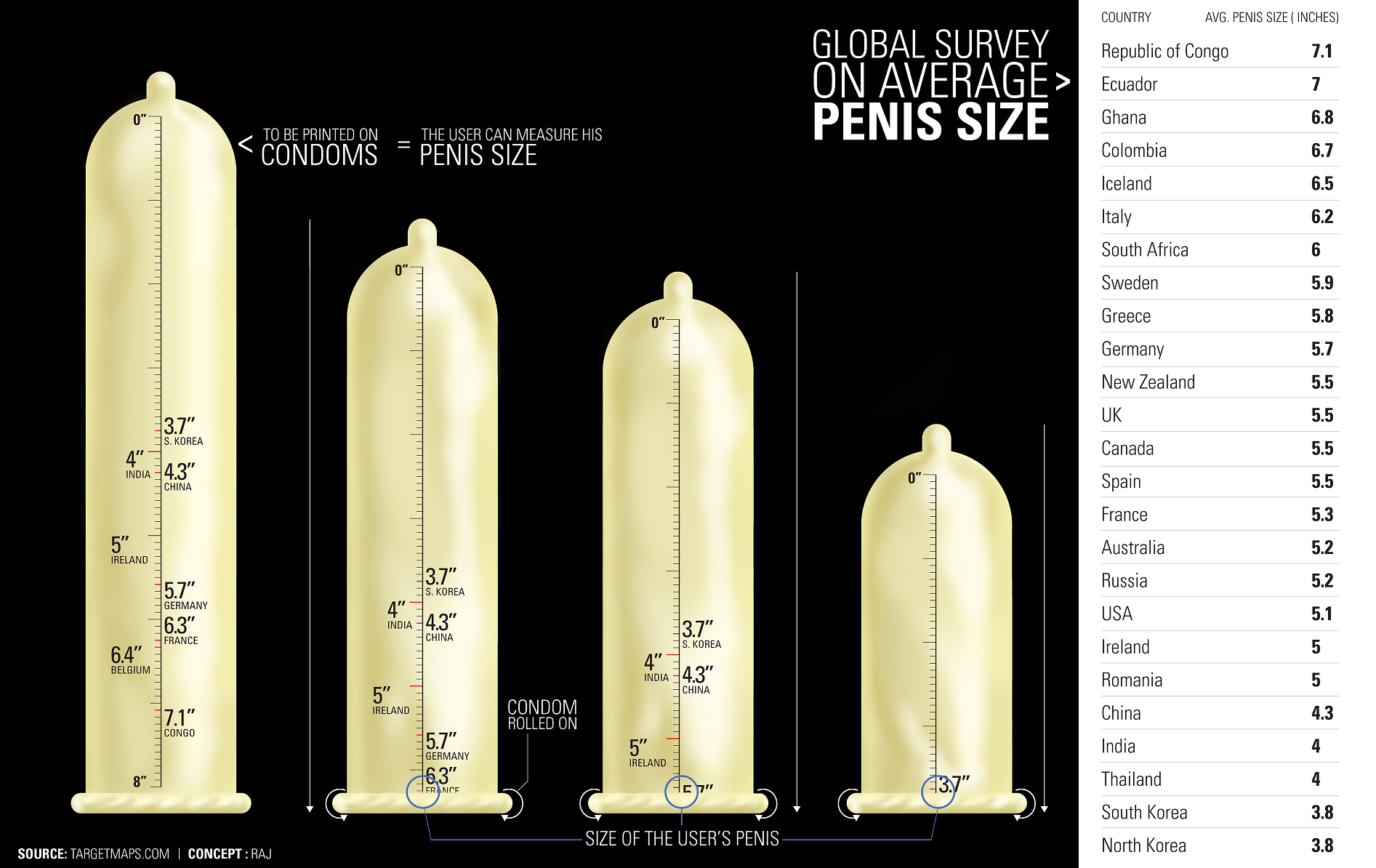 How big is the average penis