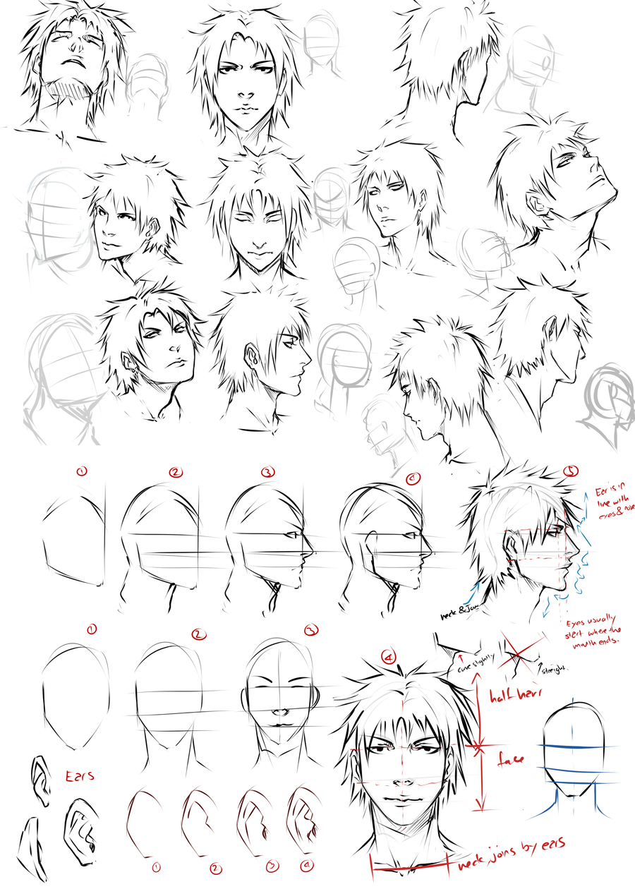 How to Draw an Anime Female Face 34 View  AnimeOutline