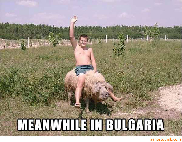 Image result for Bulgaria impressed funny