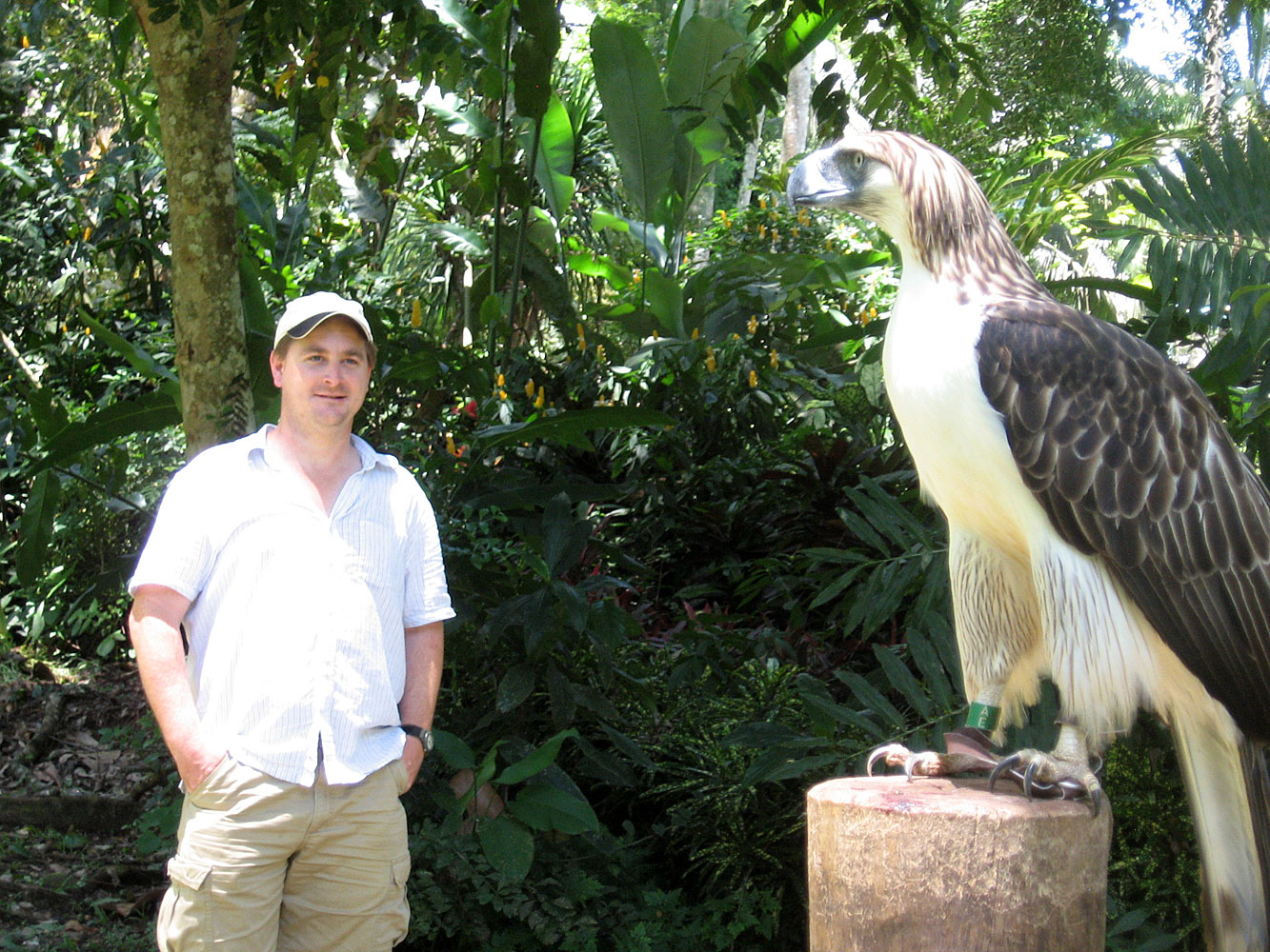 But The Actual Best Isnt The Harpy Eagle Its The