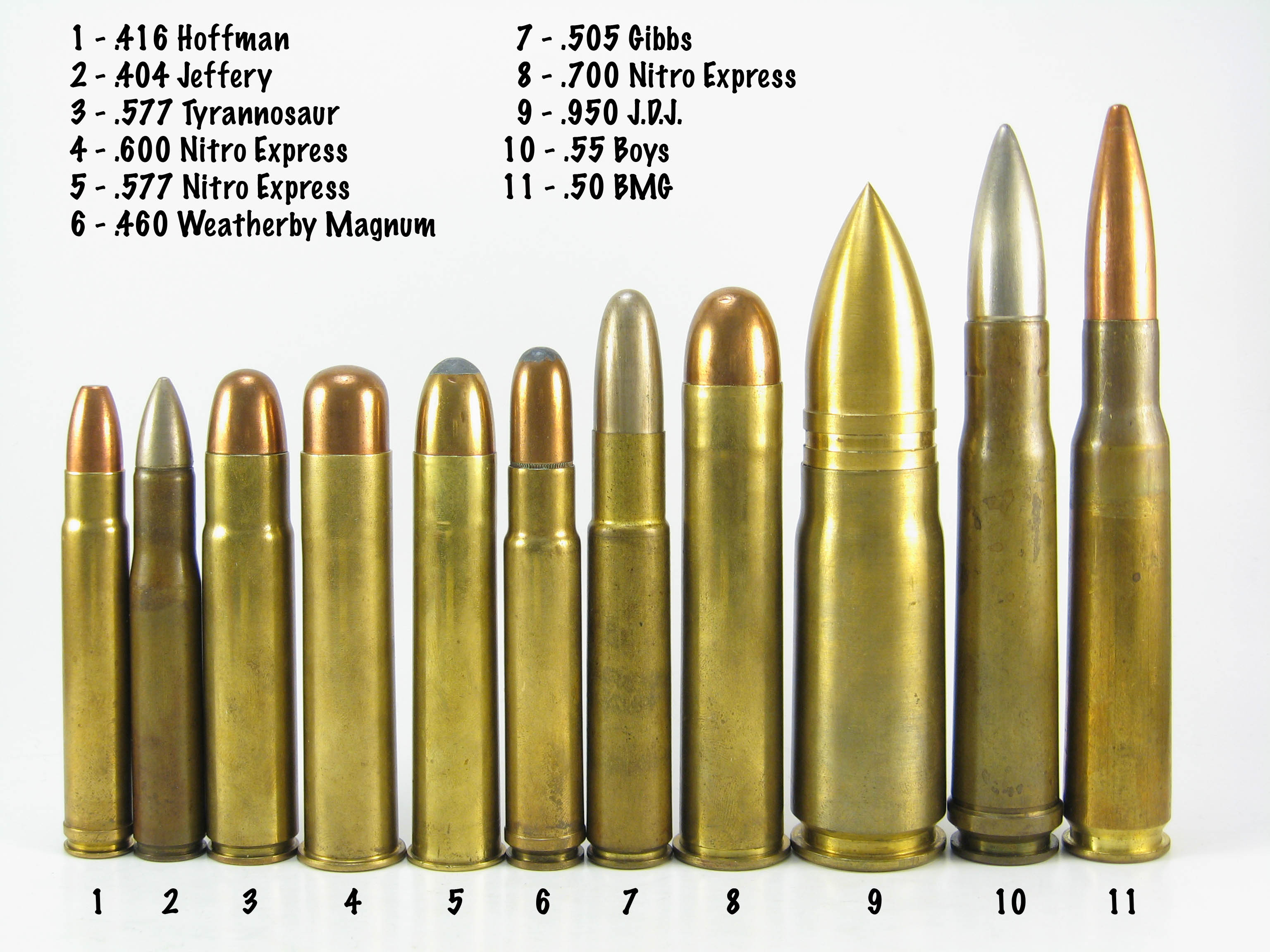 I Didn T Know Which It Was Because M Not Fortunate 103437840 Correct 600 Nitro Express To Be Exact For The Pfiefer Zelieska Or