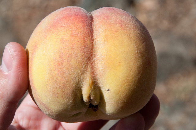 ������ ������ � ����� ����� ������ ����� �����������