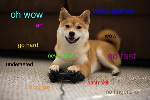 Have+another+shibe+_a99207a3a6813dde5ade