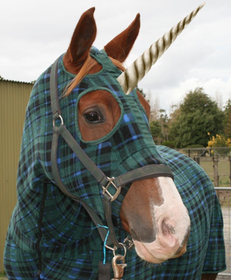 Heres+the+unicorn+i+got+from+the+scottis