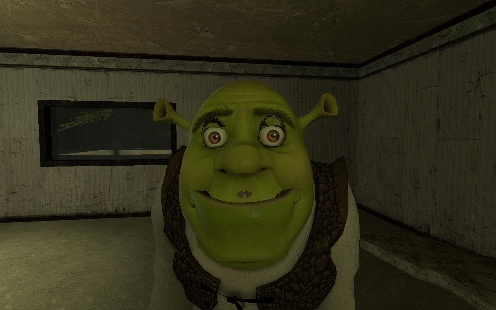 Shrek Doesn T Like Orange He Only Like Onions Do You 126661225