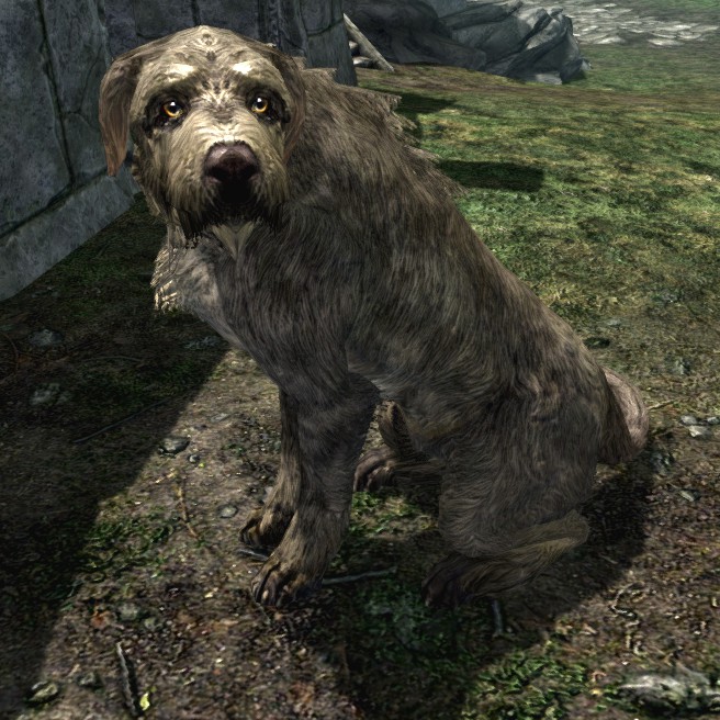 irish wolfhound skyrim