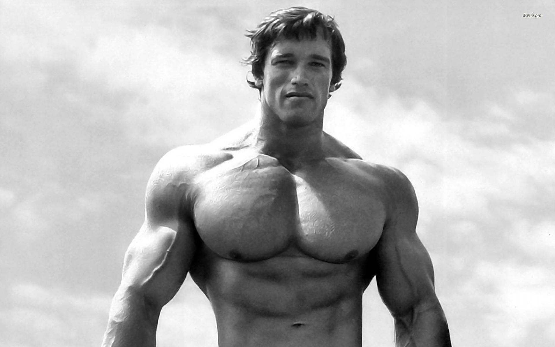 My+brothers+laptop+wallpaper+is+arnold+schwarzenegger+in+his+prime+_9b6f44f59f1df8c7ac8bda3382c477c4.jpg
