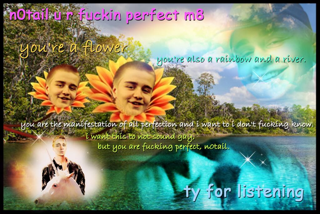 N0tail+u+r+perfect+m8+youre+a+_a972856a5