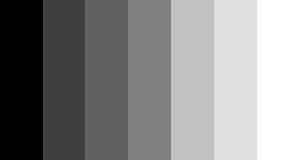 Not Funny They Can At Least Distinguish The Diffe Tones Not Funny They Can At Least Distinguish The Diffe Tones Of Gray
