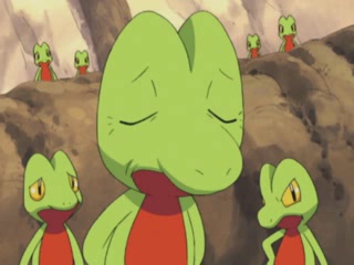 Old+treecko+_cd8ad612c552e435204543e04f406297.jpg