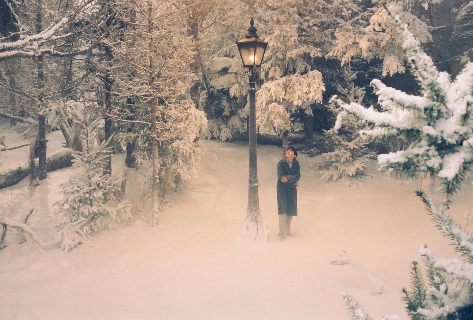 One Lamppost In The Entire Kingdom And You Lick It 113120204 One Lamppost In The Entire Kingdom And You