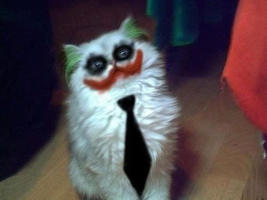 My Cat Catches Them And Eats Their Heads 72999460 Added By