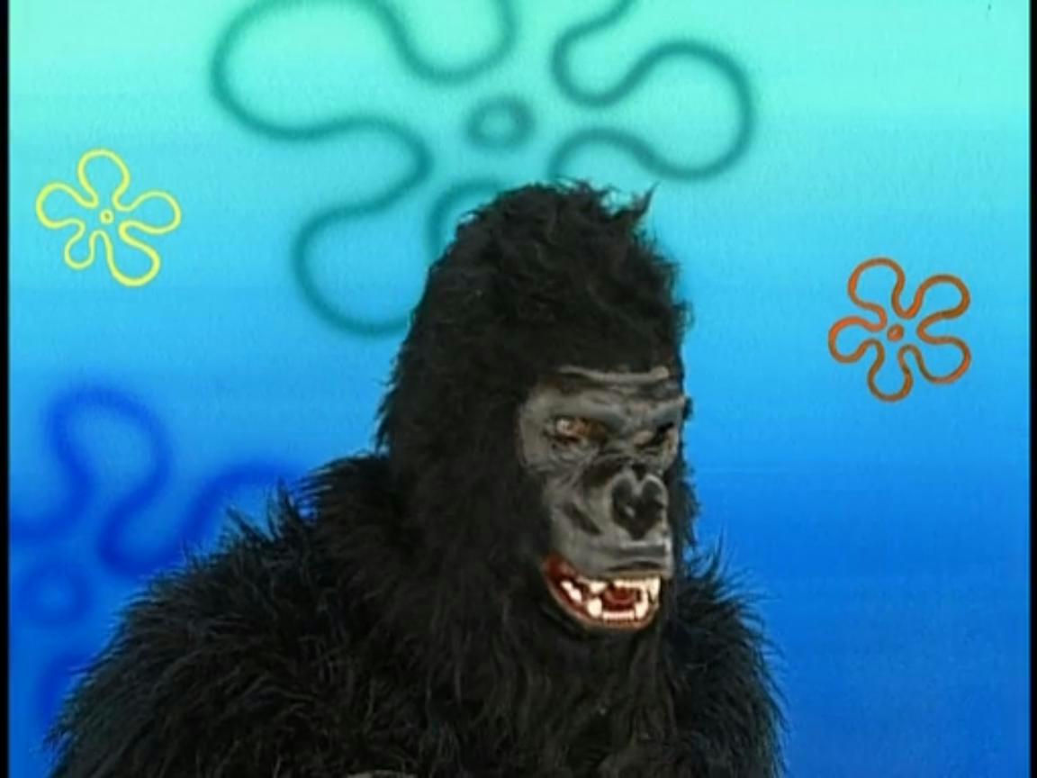 Download Koleksi 77 Spongebob Meme Gorilla Terunik.