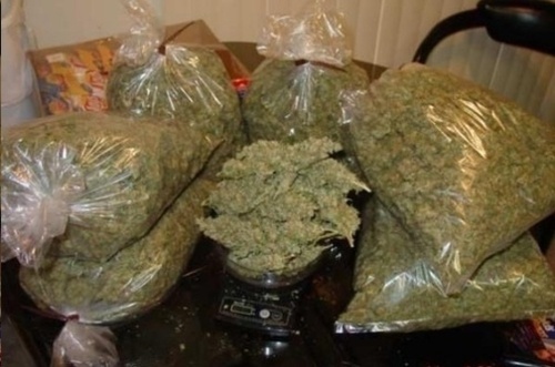 Its My Og Green Lantern Grew It Myself A 36059516 Added By Pffff Am