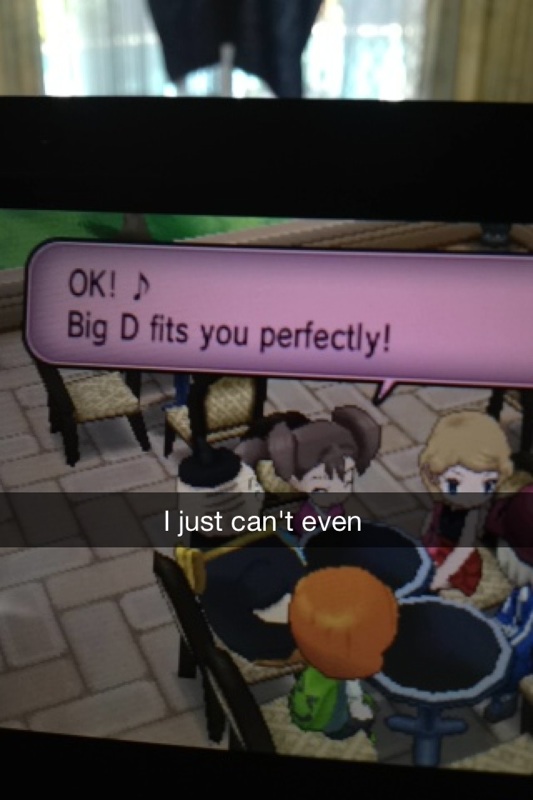 Image result for pokemon x/y character nickname big d