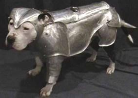 Green Elf Has Shot The Food 162346363 Added By Olivedrab At Demusays Longa Napteel Lift your spirits with funny jokes, trending memes, entertaining gifs, inspiring stories, viral videos, and so much more. funnyjunk