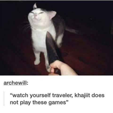 The Cat Makes It Ten Times More Funny For Some 132976007 Added By Oxykellark At Mr Bond