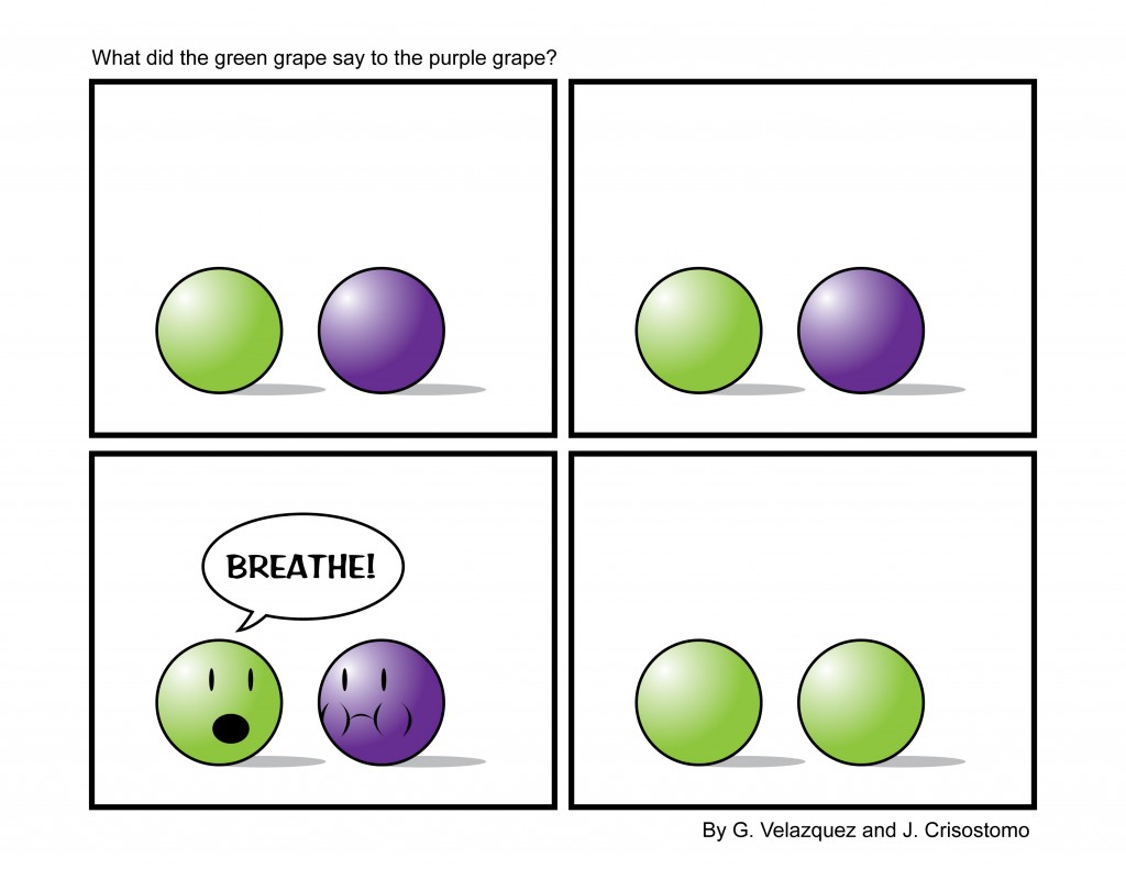 What Did The Green Grape Say To Purple 132732509 Added Trending Content