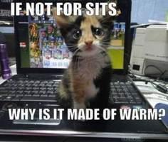 Oh Boy 52629903 Added By Charliegrc At D Aww funnyjunk