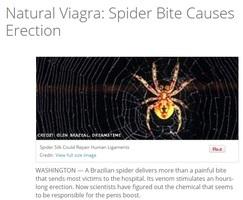 1000 ways to die videos spider erection