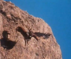 The Day That Happens Is The Day I Say We 102501512 Added