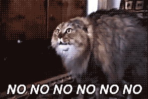 ptsd cat iraq edition