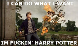 Funny Yes I Can Agree On That One But Taking 108435349 Added By Ragdollomg At U Wot M8