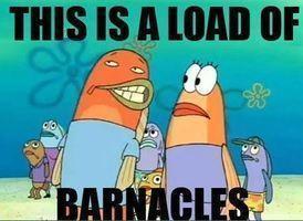 Image result for is this some kind of sick joke spongebob